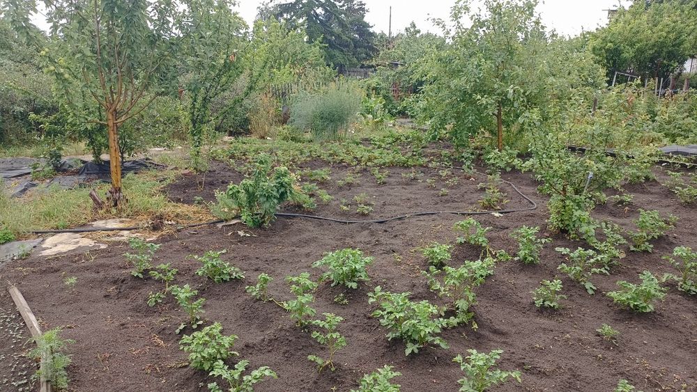 Дача СО Автомобилист