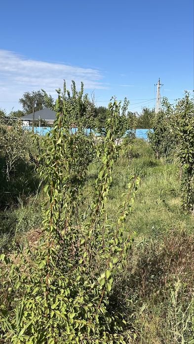 Продается большая дача