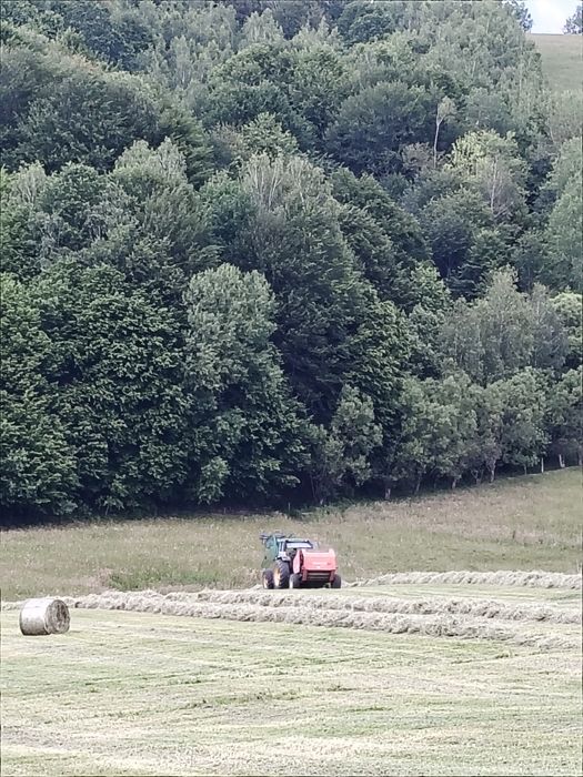 Baloți rotunzi fân neplouat