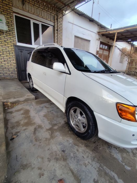 Tayota ipsum sotiladi