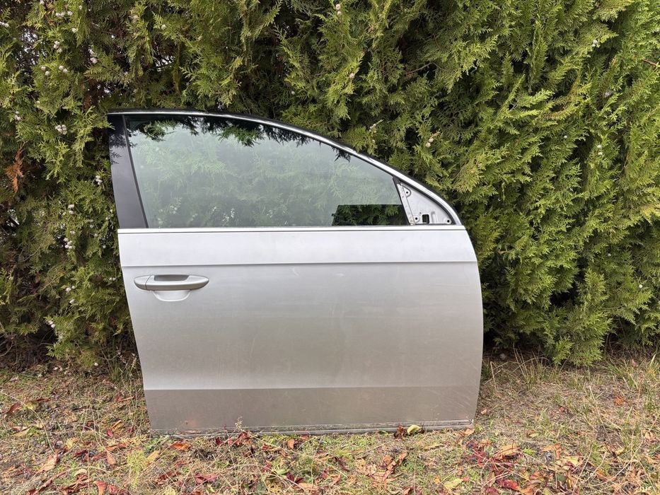 Врати VOLKSWAGEN Passat B7 Фолксваген Пасат Б7