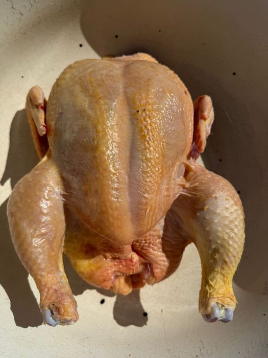 Куры домашние бройлеры