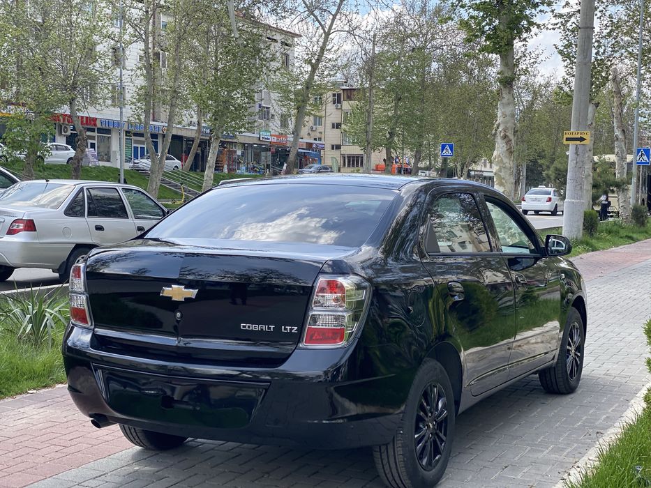 Cobalt 2026 МСМ Pachka