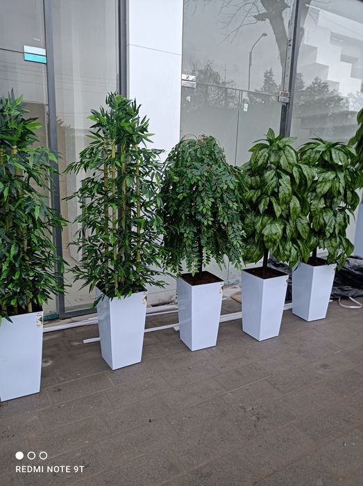 Искусственный деревя декоративные