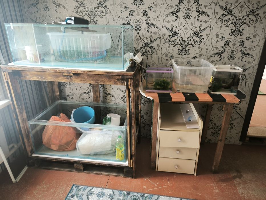 Продам аквариумы