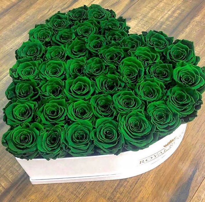 Розы оптом и в розницу голландия