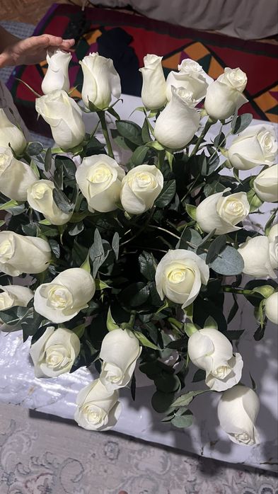 Роза в корзинах цветы