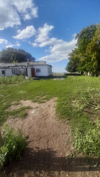 Ауылды жерде үи сатылады