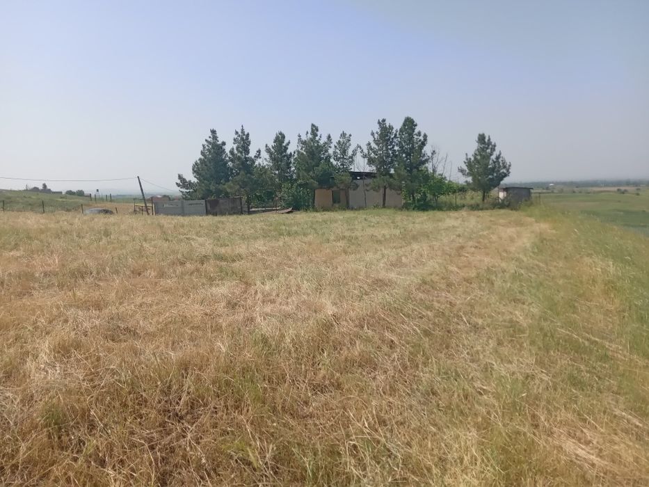 Dachniy yer sotladi 6 sotik