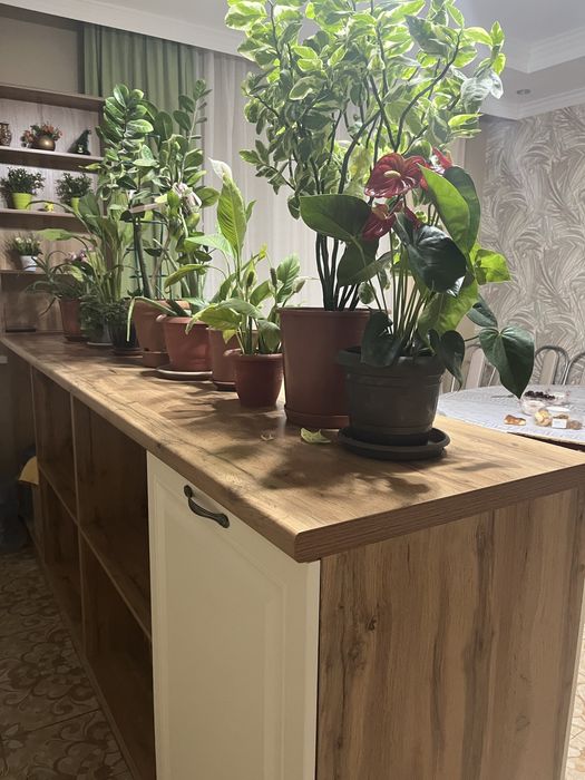 Барный стойка студия