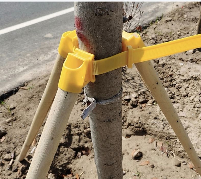 Daraxtlar uchun yog'och ustunlar