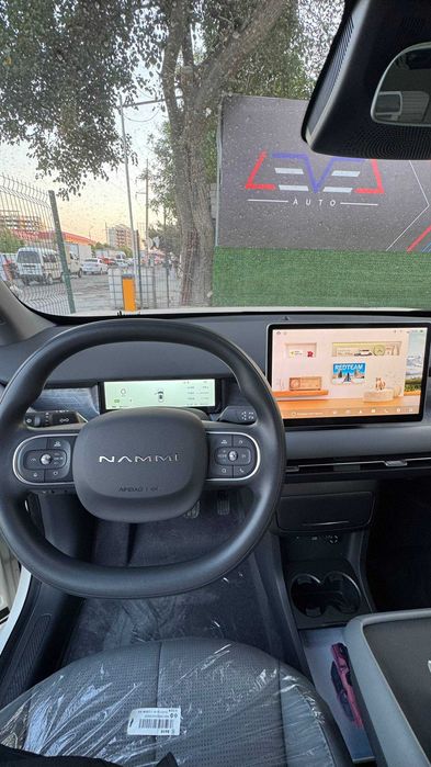 Dongfeng NAMMI 06