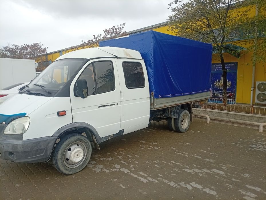 газел фермер330232