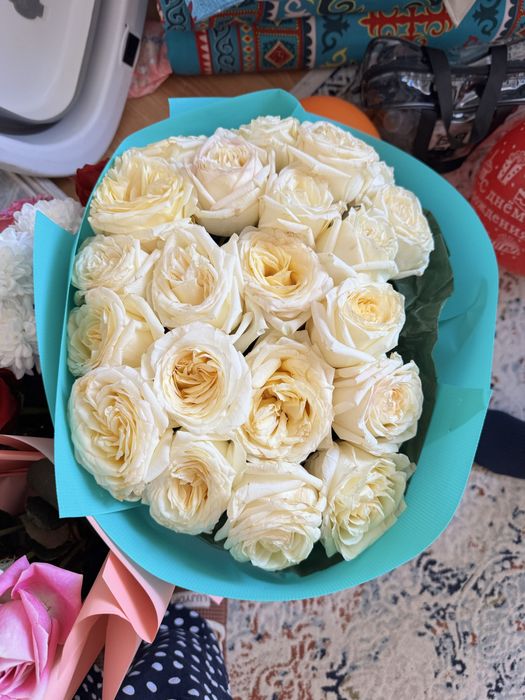 Продам цветы сегодня купленные