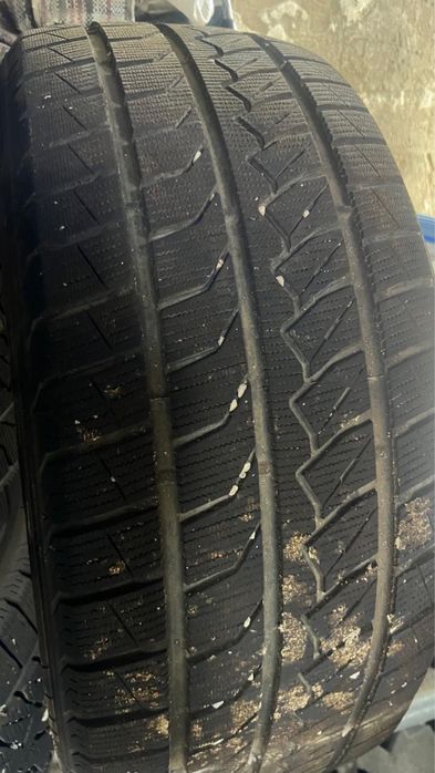 Шины чангана бушный