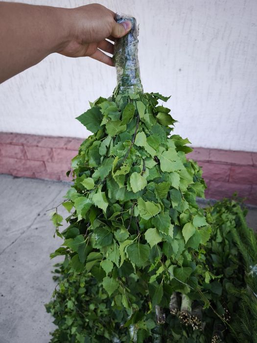 Продам берёзовые веники