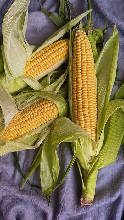 Замороженная кукуруза