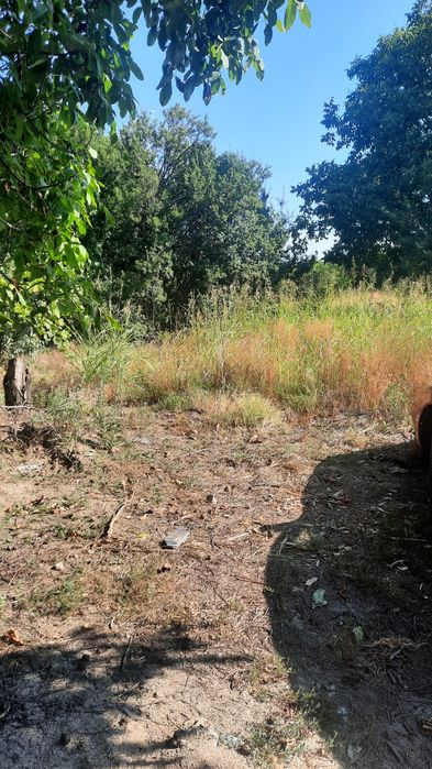 Продава се Парцел в Пловдив, Беломорски - 400 кв.м за 170 €/кв.м - Снимка #2