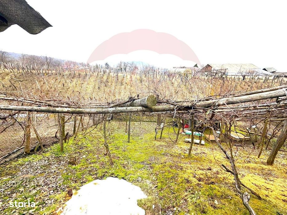 Casă 3 camere de vânzare – Gârleni, sat Lespezi, Str. Frunzei