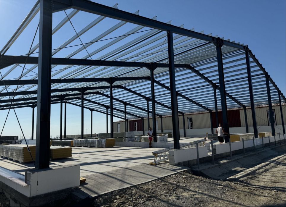vand hale structuri metalice 14x40