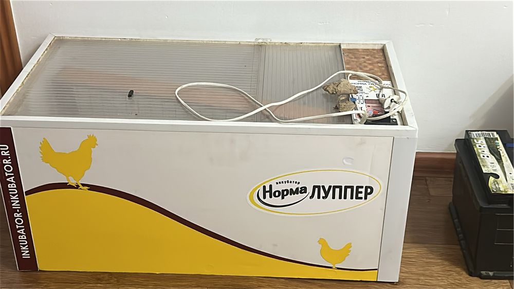 Инкубатор норма лупер 72