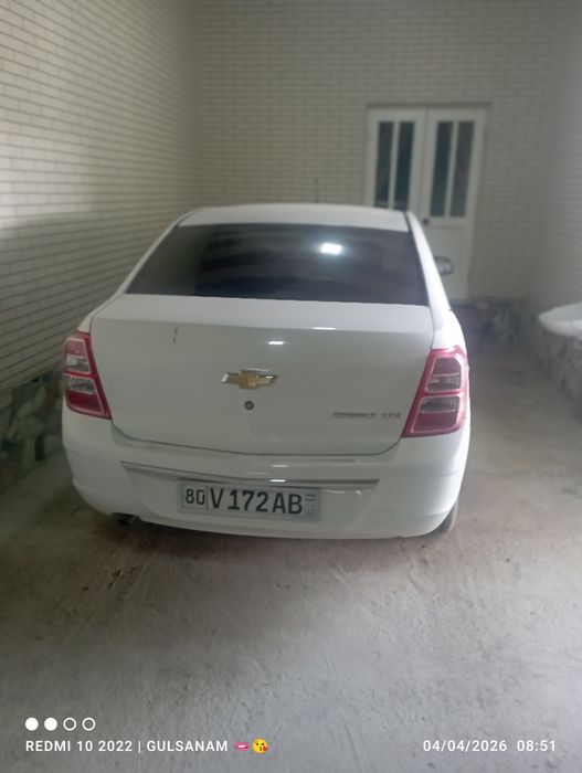 Yangi kobilt sotiladi