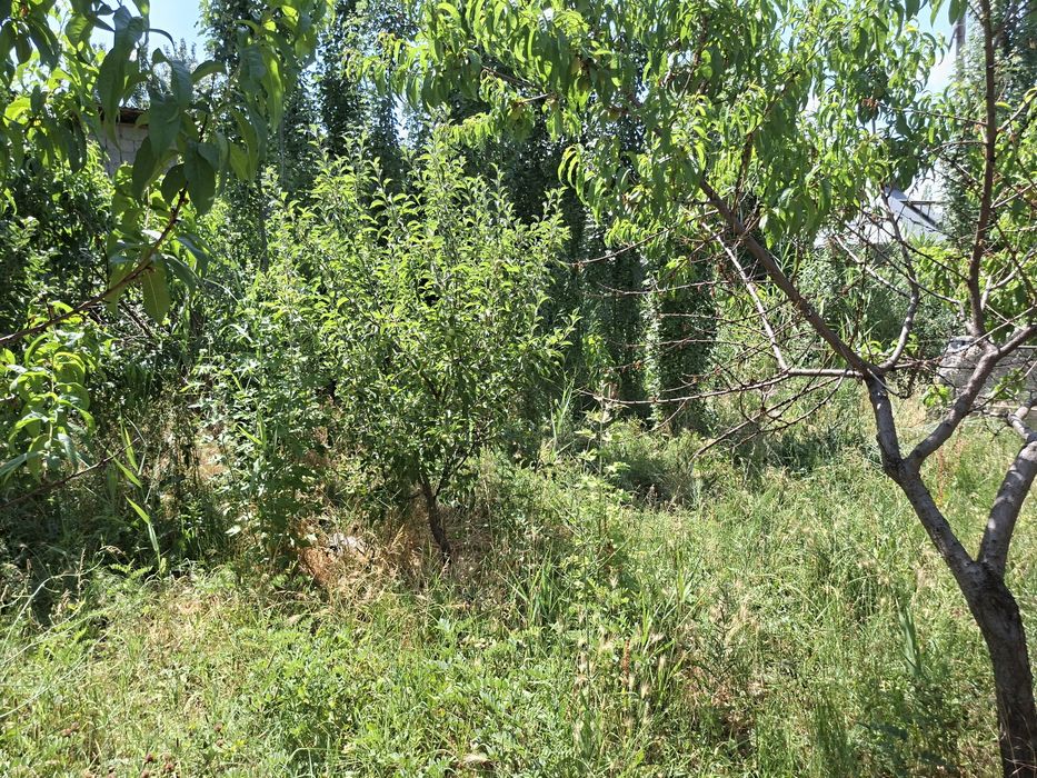 Хавли сотилади 6 сотиқ