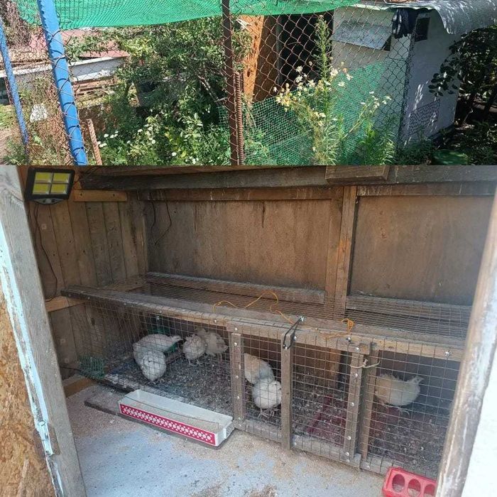 Продам дачу Сады-2