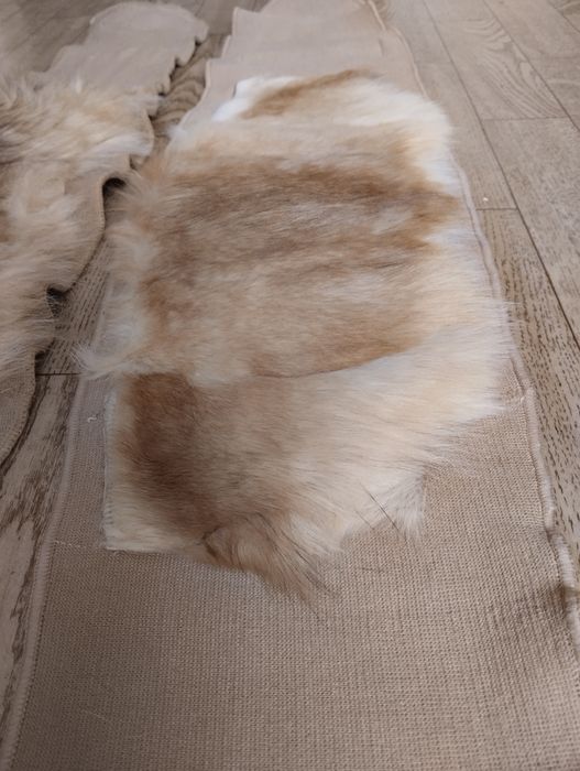 Продам собачий пояс