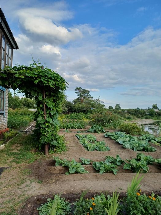 Продам дачу 4 сотки