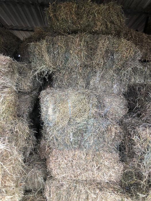 Baloți lucernă, semănătură și iarbă de coastă