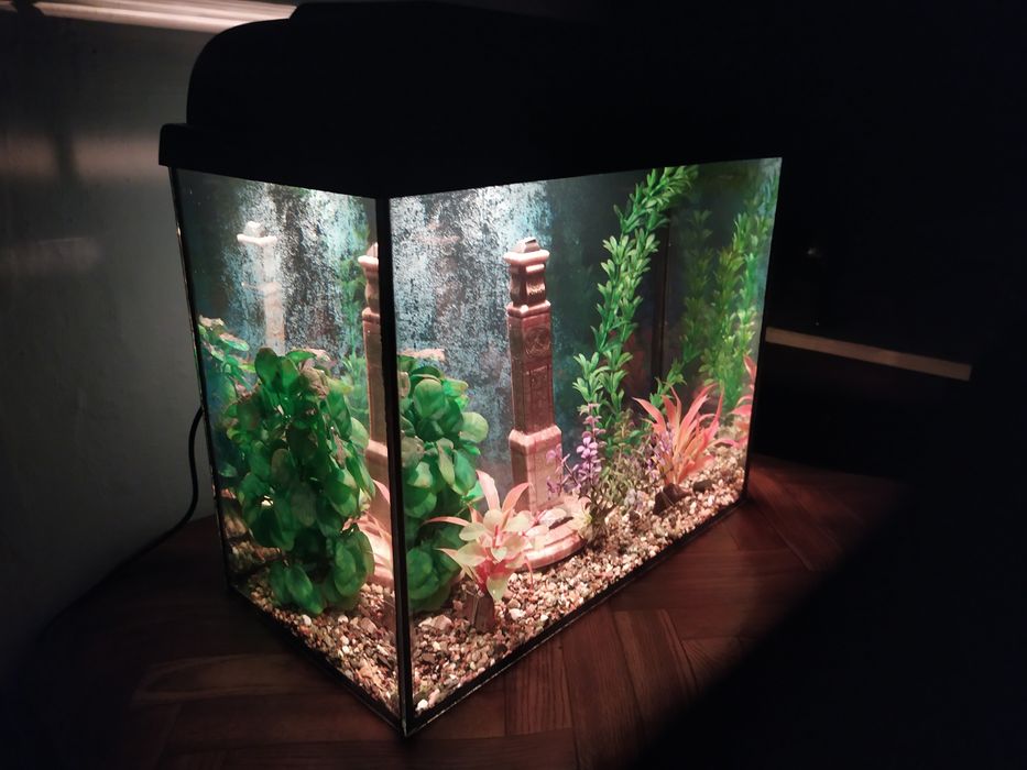 Новый аквариум + бонусы и рыбки.