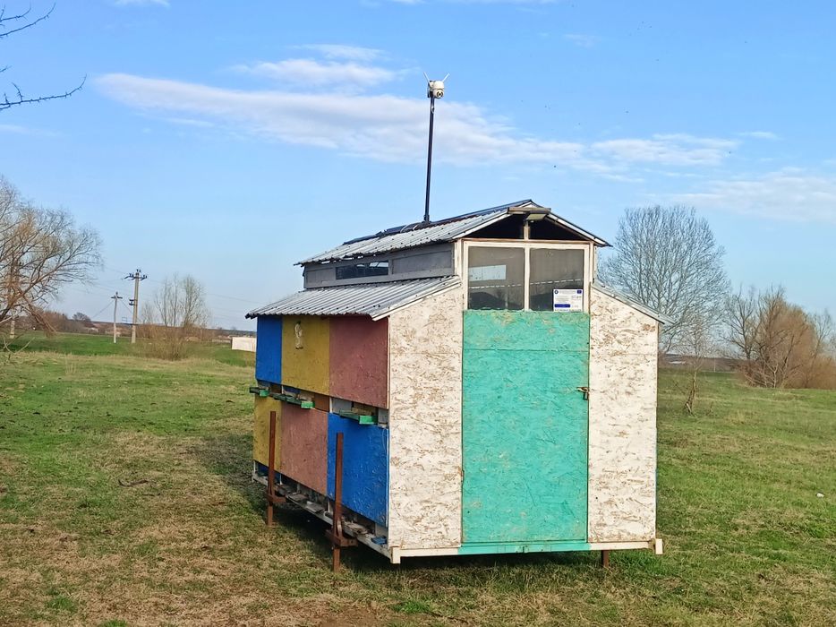 Container modul apicol