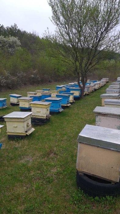 Продавам кошери ползвани