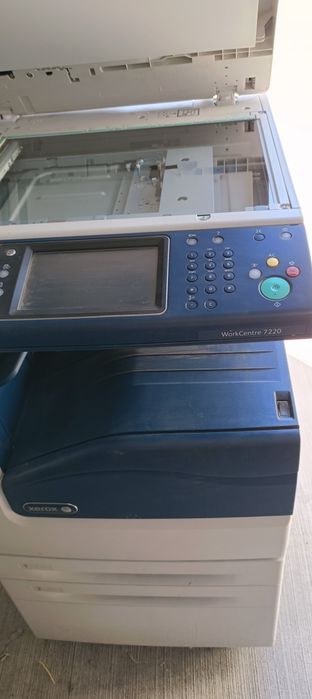 Xerox profesional