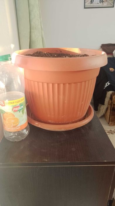 Саксия за цветя шкаф