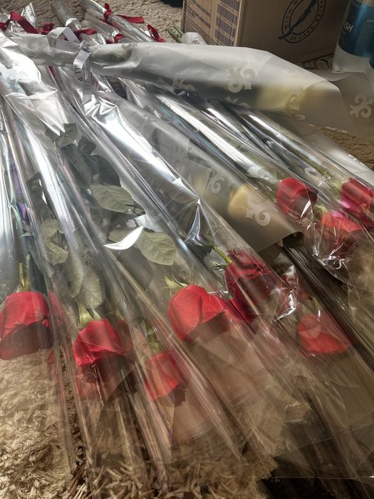 цветы розы голландские