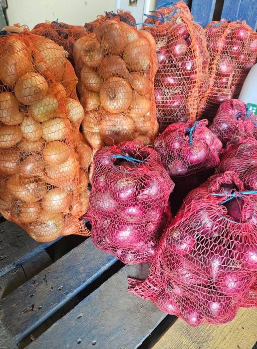 Cartofi de Consum/Animale/ Ceapa alba/rosie