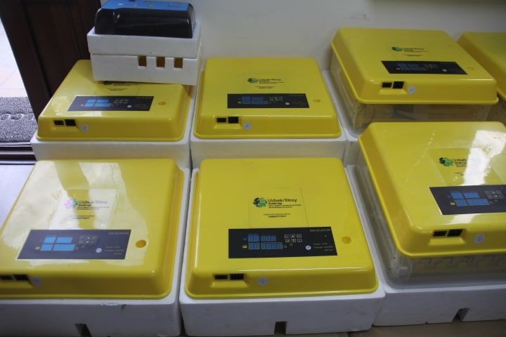 Инкубаторлар