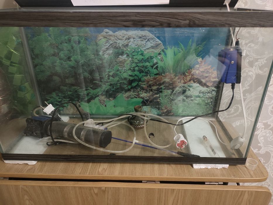 Аквариум в отличном состоянии