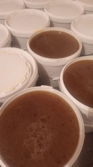 Продам мёд разнотравье