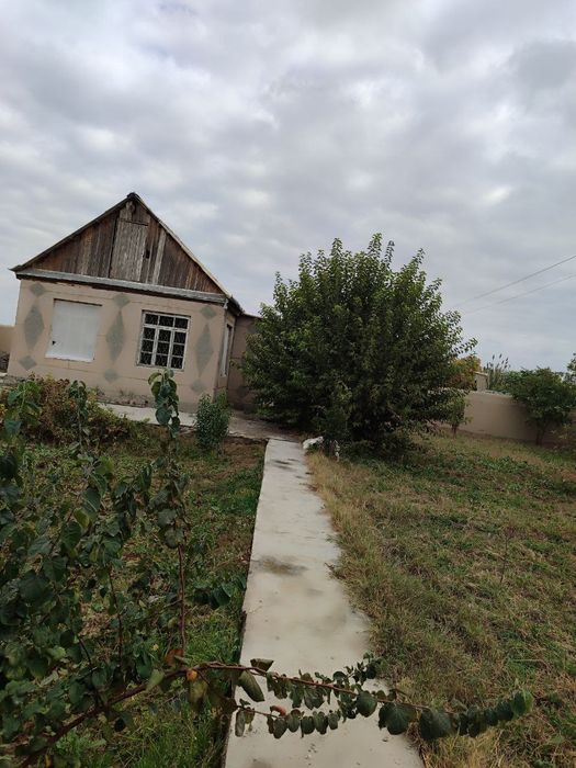 Dala hovli sotiladi dacha vasxodda boylashgan