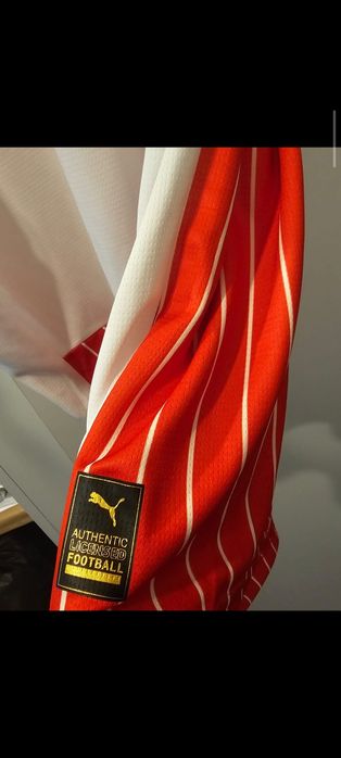 Tricou  Dinamo Puma original