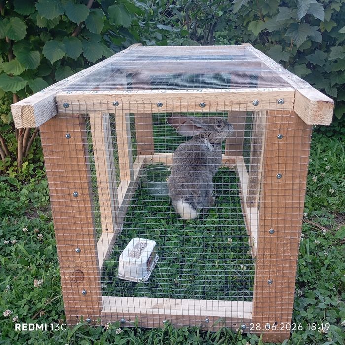 Продам клетку и кролика