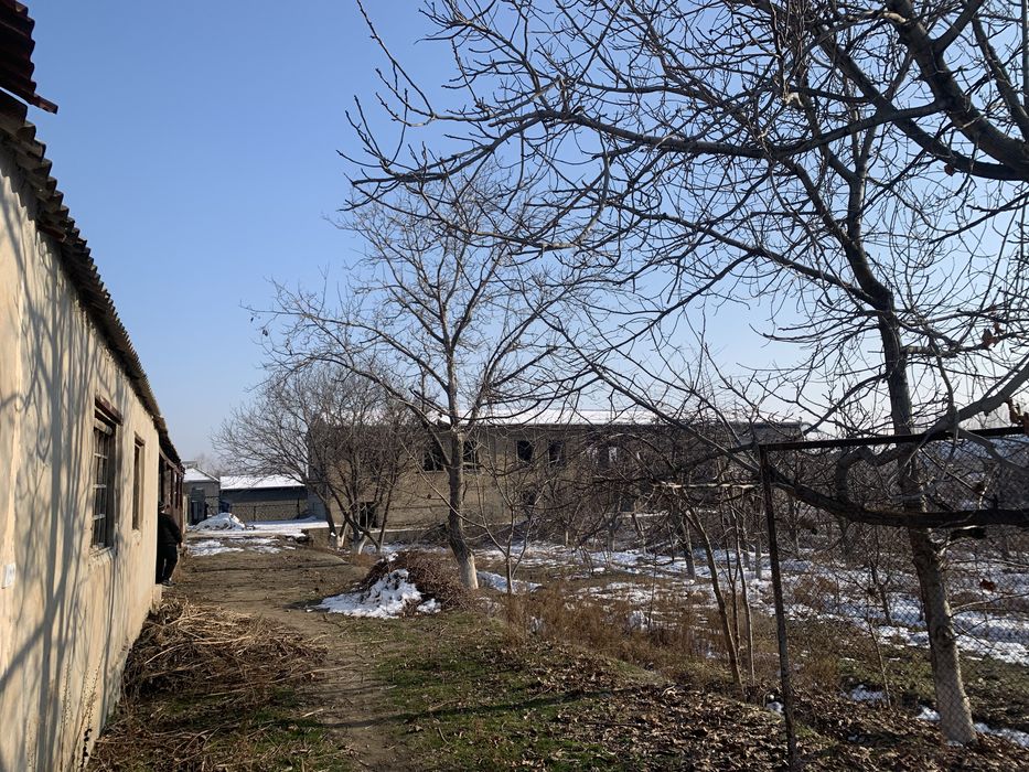 Участик в пригороде