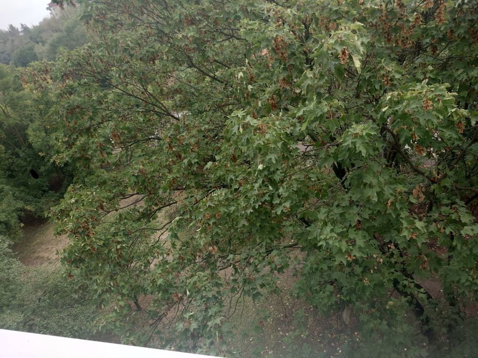 Отдавам под наем