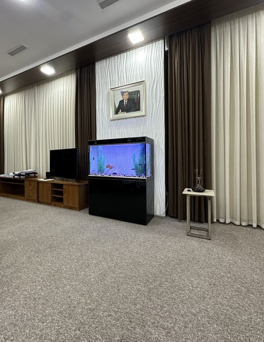 Профессиональная чистка и обслуживание аквариумов