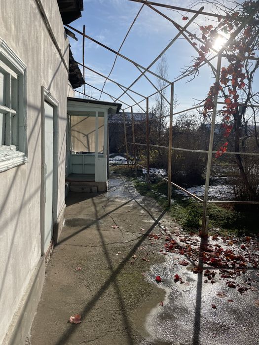 Xovli sotamiz 9 sotix