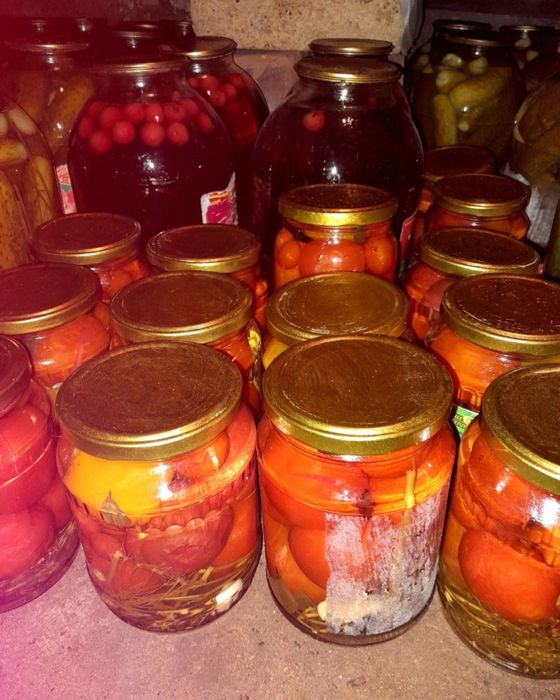 Соленья этого года