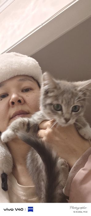 Мальчик 2мес котенок возраст 2мес